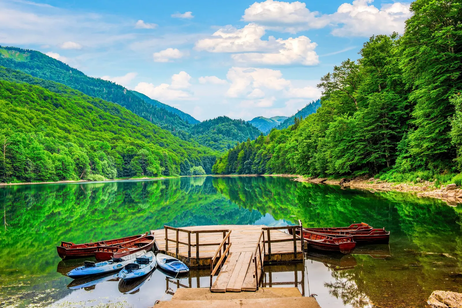 Wooden boats and kayaks beside a jetty on forest-ringed Biogradsko Lake